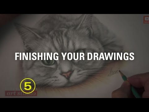 HOW TO DRAW A CAT: SIGNING YOUR DRAWING (Art Studio 78 excerpt)