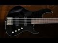 Jazz Custom Fretless _ Bartolini Pickups _ Mauricio Oliveira _ Bass Demonstration