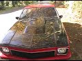 My Torana