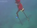 sinarit dentice dişli zipkin ile taş alti. alanya/ turkey