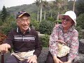 淡水北新莊天元宮賞櫻花-第一輯justinrio20100306.wmv
