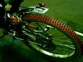Starfire 4 stroke motorizedbicycles.net Starfire 4 stroke motorizedbicycles.net