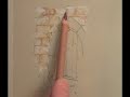 Stonework  demonstration