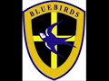 cardiff city fc.

cardiff city's offical fa cup final song.

bluebirds flying high - james fox

cardiff v portsmouth fa cup final
cardiff v barnsley fa cup semi final wembley