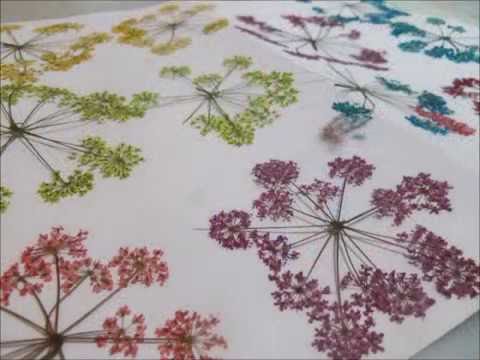 how to dye pressed flowers