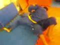 videos de Filmadora-0003