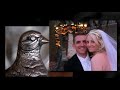 Amy & Brian Picture Perfect Wedding at Meyer\ Amy & Brian Picture Perfect Wedding at Meyer\
