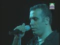 foca festivali