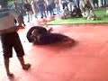 1� Grand Prix de Jiu Jitsu (Bebedouro 2008) cat. pesad�ssimo- Lucas(preto) vs Weber(azul)