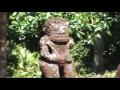 8- EN LA FRONDA CON LOS TIKIS DE PUAMAU
