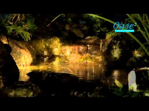 OASE | Garten- und Teichbeleuchtung | Deutsch