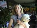 Description of some Puppy Mill Puppy Ailments