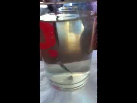 Imagen de previsualización de YouTube