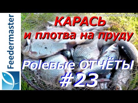 летний карась на фидер видео летний карась на фидер видео