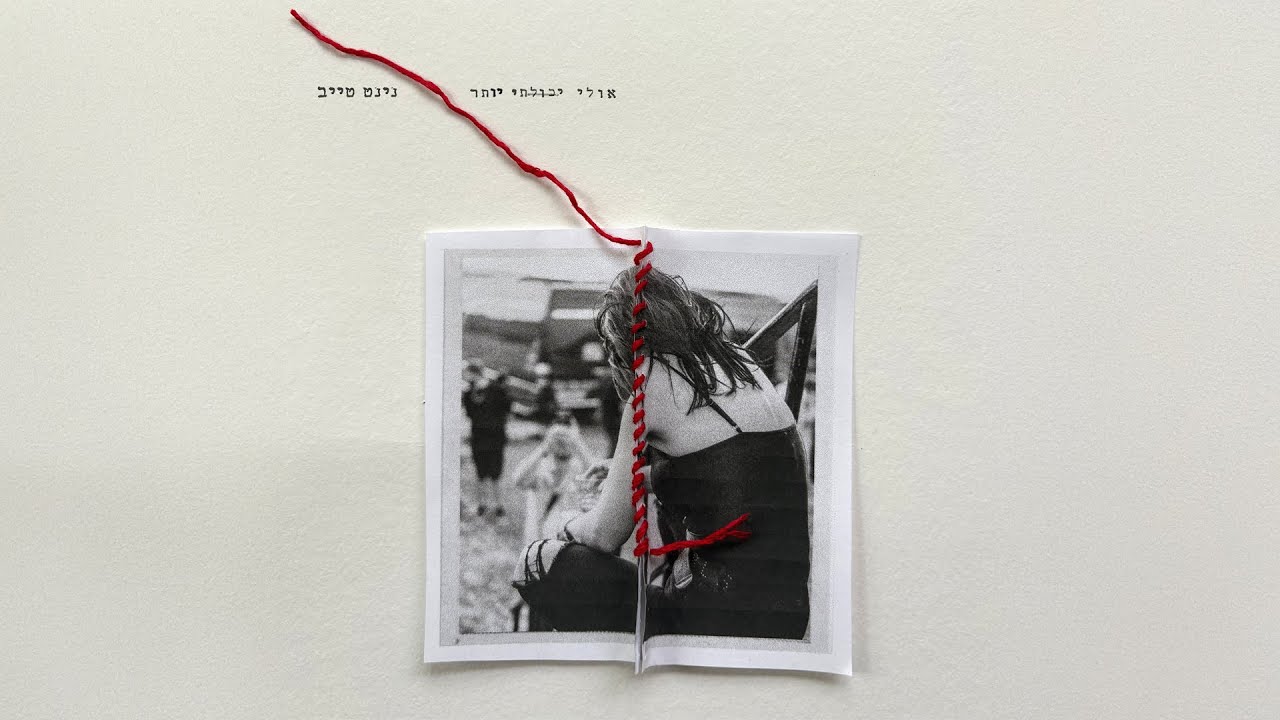 נינט טייב – אולי יכולתי יותר