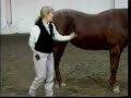 Horse Conformation: Evaluating Overall Conformation, part 1
