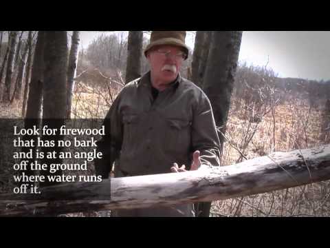 how to harvest wood