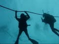 diving on canary islands   el hierro tauchen scuba