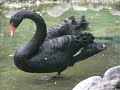Our day out at the zoo in Hamburg 