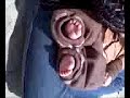 Baby feet