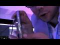 LG GD900: The Transparent Phone
