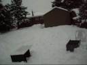 Backyard Terrain Park Setup: Phase 2