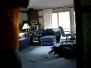 scary movie spoof