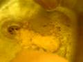 videos de yucky drink.3gp
