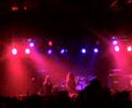 Hollenthon-Vestige (cuts) Hollenthon-Vestige (cuts)