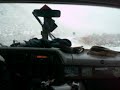 The Pink Spiders in the Rockies