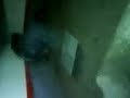 humo blanco