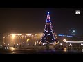 Christmas Tree 23.12.2008