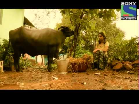 how to decide to adopt