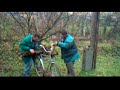 coca-cola-magyar-m-dra-.html