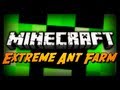 Extreme Ant Farm Survival - Ep. 23 - LAST CREEPER DUNGEON!
