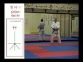 Goju-Ryu-Kata-DVD Goju-Ryu-Kata-DVD
