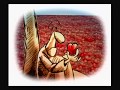 کنسرت اساتید موسیقی ایران