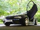 Tigra Revolution Tigra Revolution