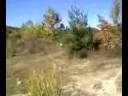 sand pit
