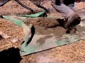Making Cob
