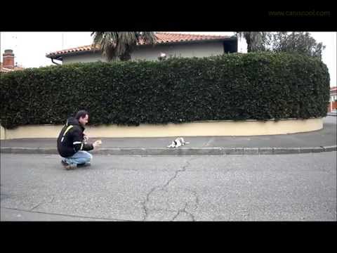 Image de prévisualisation YouTube