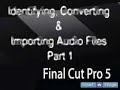 Final Cut Pro 5 Audio Tutorial : File Formats for Importing Audio in Final Cut Pro 5