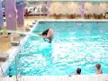 fat guy & a pool fat guy & a pool