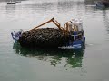 Les go�moniers � Roscoff - Bretagne