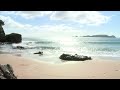 Stay at Butterfly Bay