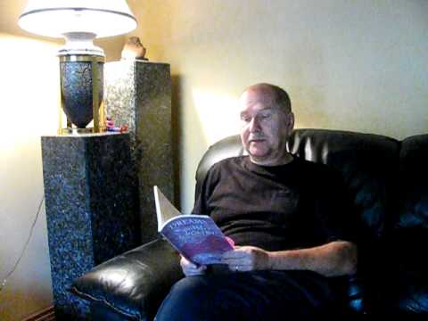 Yellow Cow MVI_1384.AVI