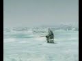 Man killed by killer whale! Watch if you dare!!!!