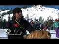 Search and Rescue Dog Training at Alpine Meadows
