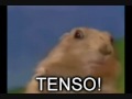 Chiclés Animalescos - Cosmo's Organizations