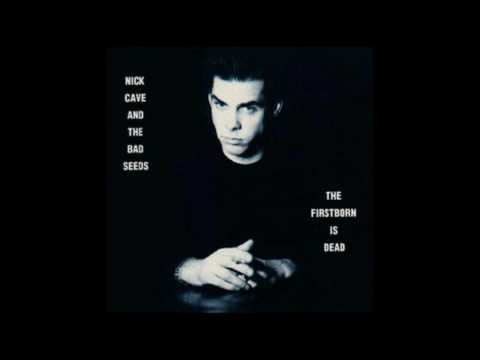 Youtube-videoupotus, klikkaa nähdäksesi!